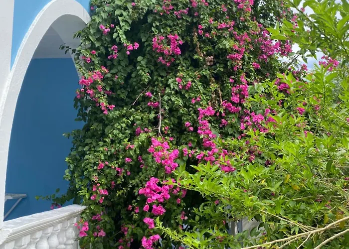 公寓 Blue Antonia 拉加纳斯