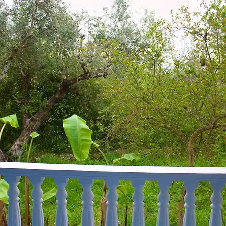 Blue Studios Antonia