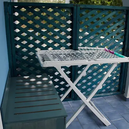 Blue Studios Antonia