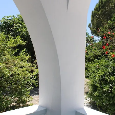 Blue Studios Antonia