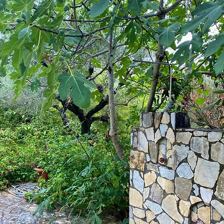 Blue Studios Antonia דירה *