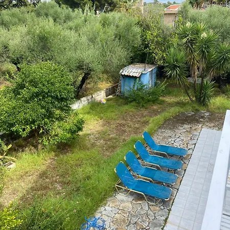 Blue Studios Antonia *