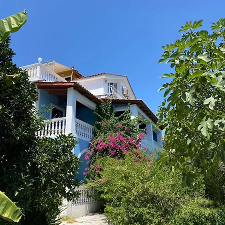 Blue Studios Antonia *