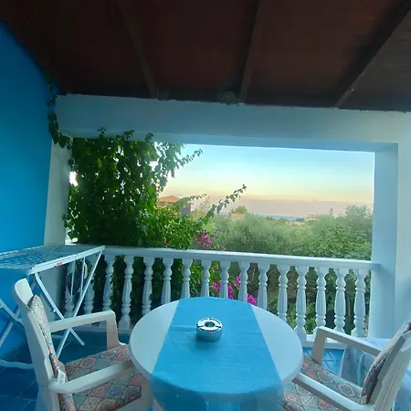 Blue Studios Antonia *