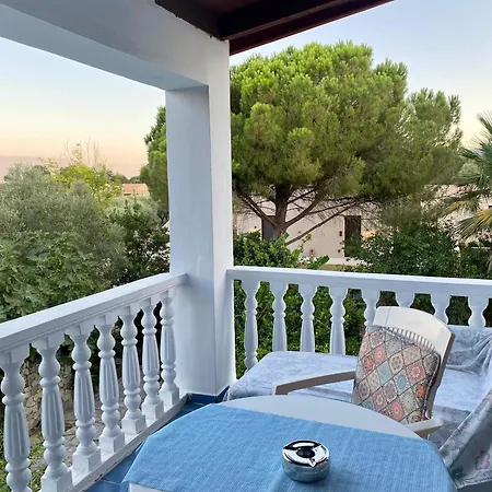 Blue Studios Antonia *